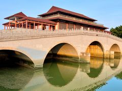 -大湾区中央湿地公园