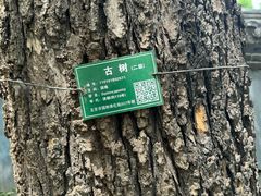 -大益烤鸡