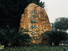 -三水森林公园