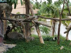 -清迈夜间动物园