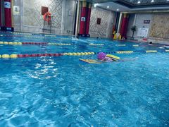 -飞鲨游泳培训学校