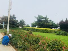 -黑石礁公园