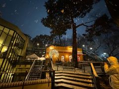 -三鹰之森吉卜力美术馆