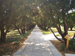 -洛阳古墓博物馆