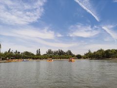 -杨柳青庄园