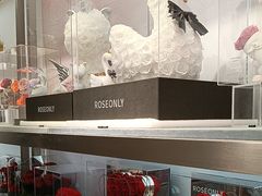-ROSEONLY诺誓(广州K11店)