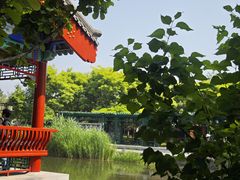 -西海子公园