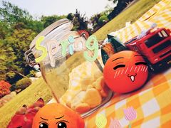 -铁山坪森林公园