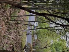 -游子山休闲旅游区