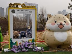 -青藏高原野生动物园
