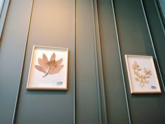 -章记星洲 · 新加坡餐厅(望京店)