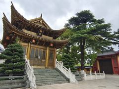 -上海东林寺(金山区)