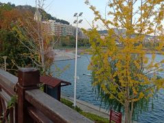 -千岛湖城中湖游船码头