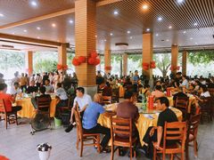 -兴隆槟榔园休闲农庄