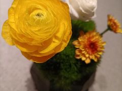 -南堂馆·新川菜(春熙路店)