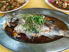 -大湾区中央湿地公园-十九涌