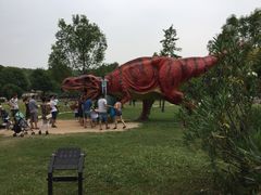 -中国西峡恐龙遗迹园