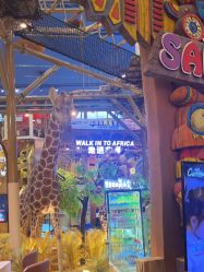 -卡通尼·Safari非洲探索乐园·生日会(金桥国际商业广场店)