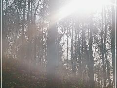 -南京金牛湖风景区