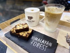 布朗尼-喜马拉雅森HIMALAYAN FOREST