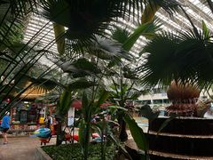 -龙脉温泉室内游泳馆