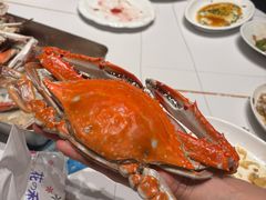 -金海湾海鲜排档(朱家尖店)