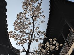 -何园