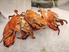 -景湖轩全日制餐厅·南湖名都