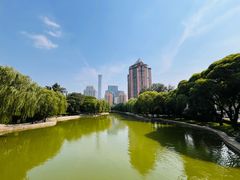 -团结湖公园