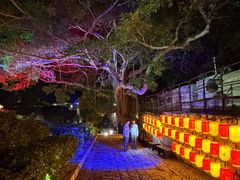 -胡里山炮台