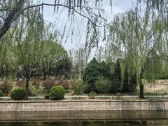 -元大都城垣遗址公园