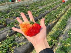 -裕鼎鲜·新中菜(王府井店)