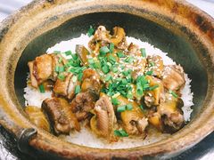 -红星光发煲仔饭(大石街店)