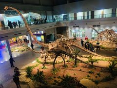 -自贡恐龙博物馆