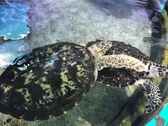 -鸿通城购物中心