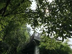 -南山植物园