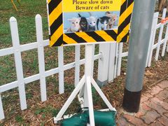 -大埔公路-马料水段香港中文大学(公交站)