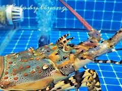 -醉壹号海鲜大排档(厦门美食地标店)