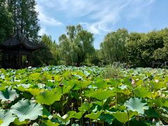 -乌镇望津里精品酒店