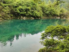-石台牯牛降景区