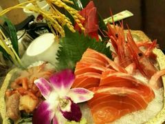 -南京奥林匹克体育中心-体育馆