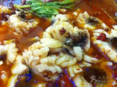 -重庆乌鱼庄·龙滋鲜(青羊大道店)