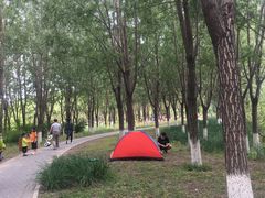 -东郊湿地公园
