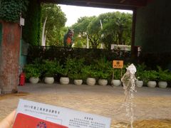 -热带风暴水上乐园(新镇路)