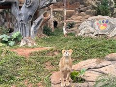 -海南热带野生动植物园