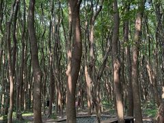 -同里国家湿地公园
