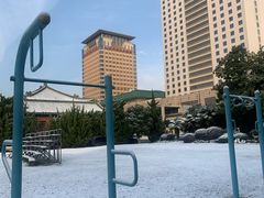 -南京钟山宾馆(江苏省会议中心)