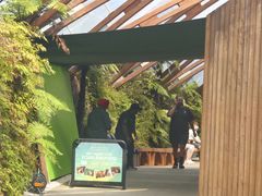 -怀托摩萤火虫洞