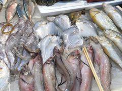 -青石桥市场北1-27号