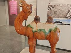 -隋唐大运河文化博物馆